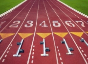 开云体育中国-非洲杯爆冷夜，南非掀翻卫冕冠军阿尔及利亚，莱万化身关键先生定乾坤