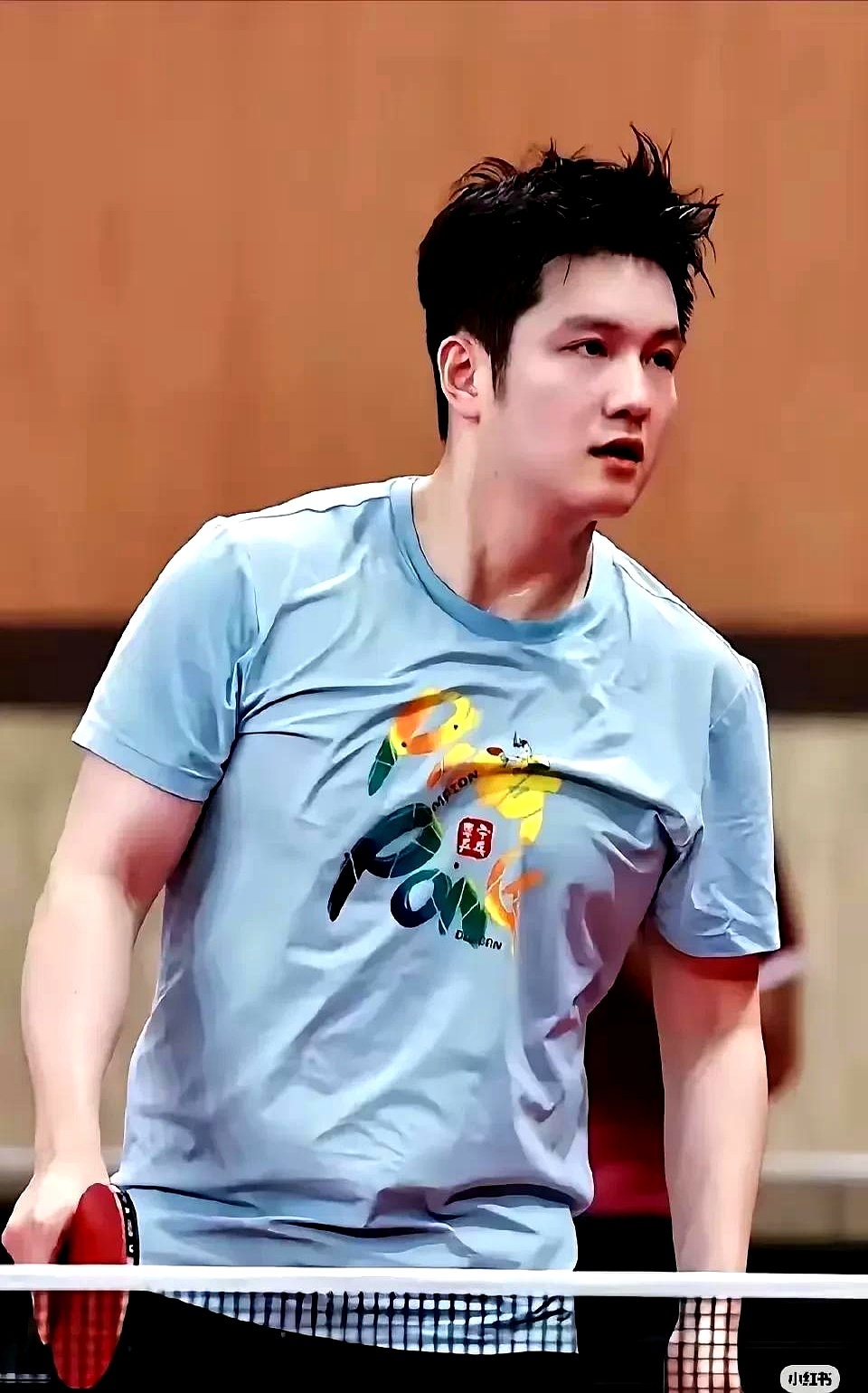 韩国队横扫日本队,樊振东统治全场 韩国队横扫日本队,樊振东统治全场