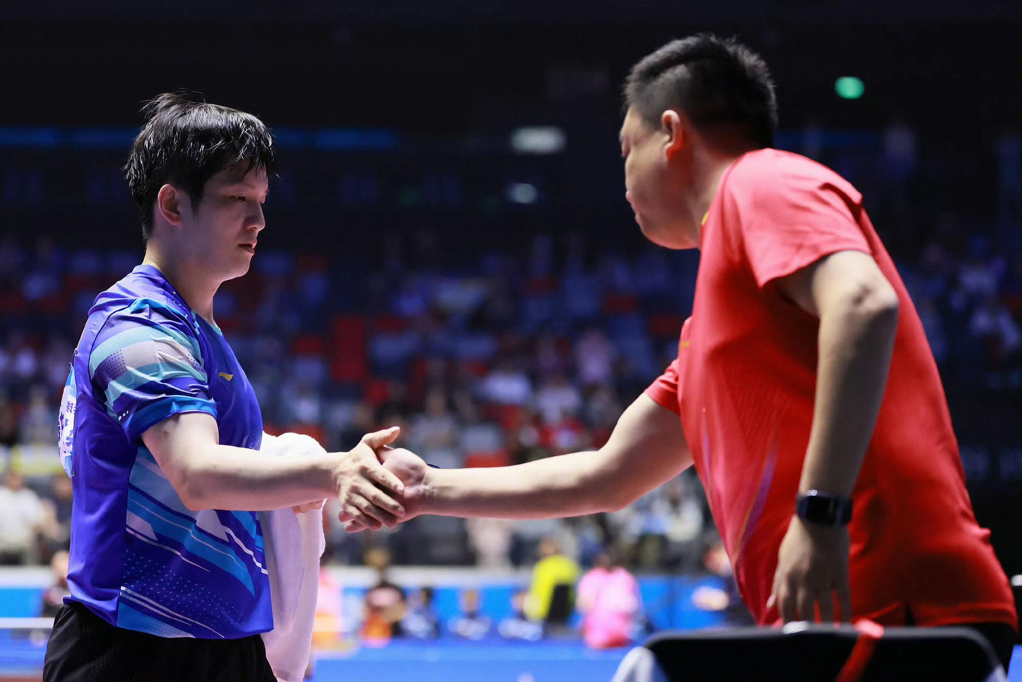 韩国队横扫日本队,樊振东统治全场 韩国队横扫日本队,樊振东统治全场