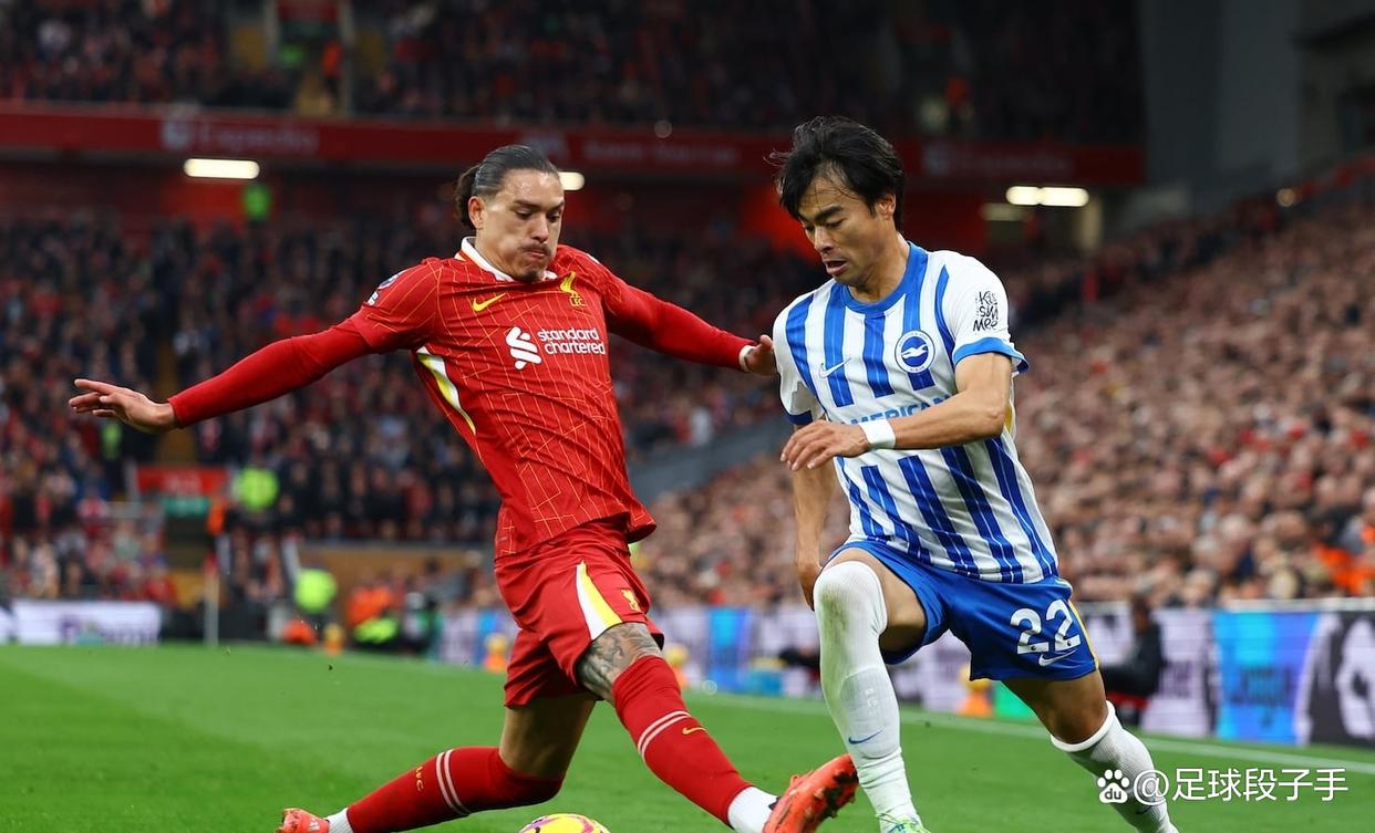 布莱顿连胜，继续保持不败领先的简单介绍