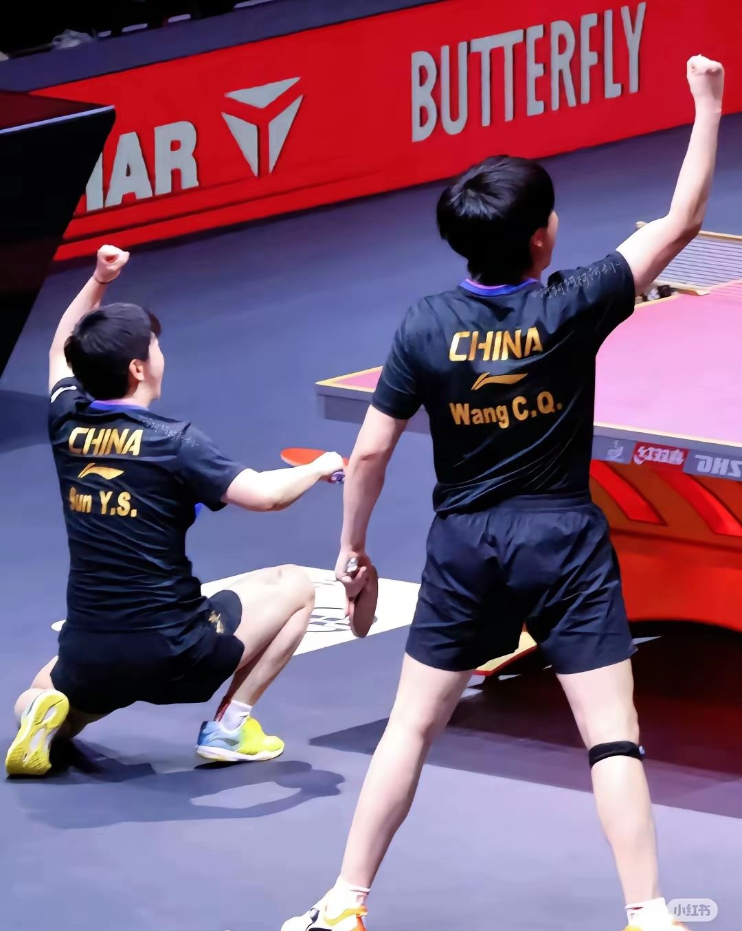 波兰乒乓球队鏖战比利时乒乓球队，许昕爆发神勇的简单介绍