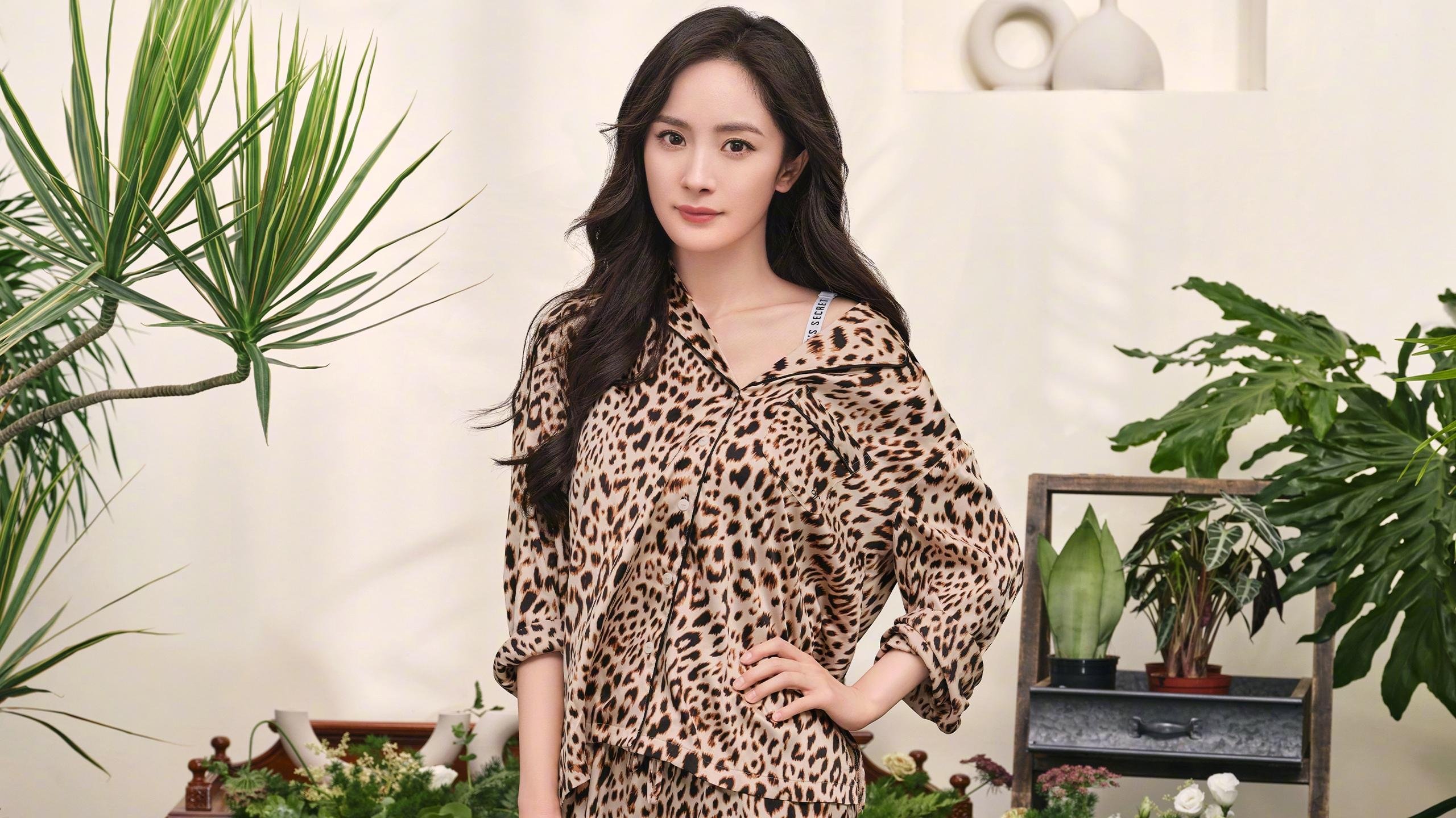 从几内亚到美加墨,范戴克如何以一场斩落秘鲁式的统治力接管世界杯