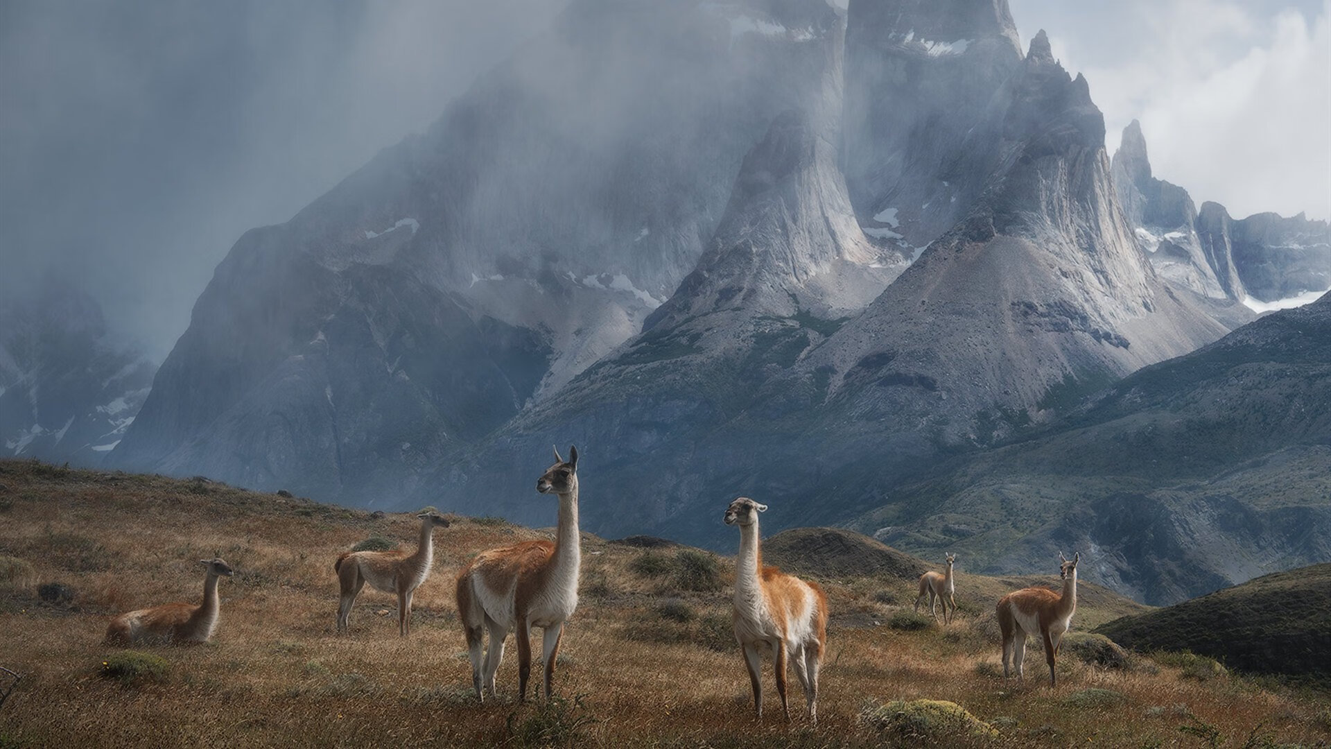 跨洋双雄记，哈登德甲封神夜，广东压哨绝杀篮网